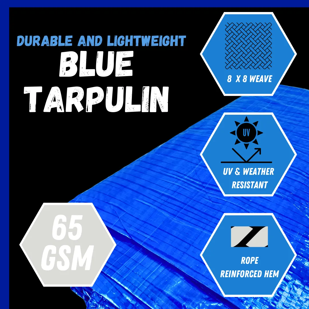 10x20 Foot Multipurpose Waterproof Blue Tarp, 65 GSM  - TB-21020