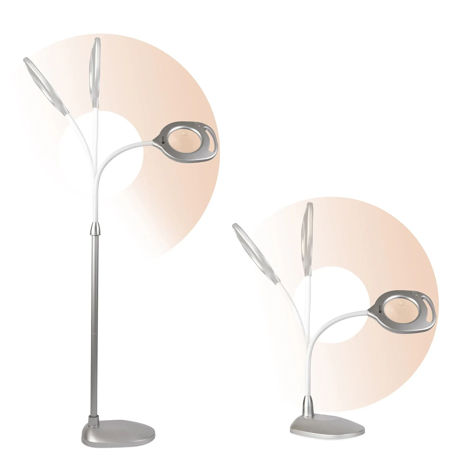 2 in 1 LED Desk/Floor Lamp