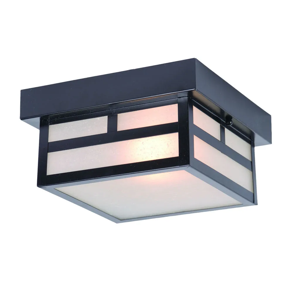 Artisan Outdoor Ceiling Light