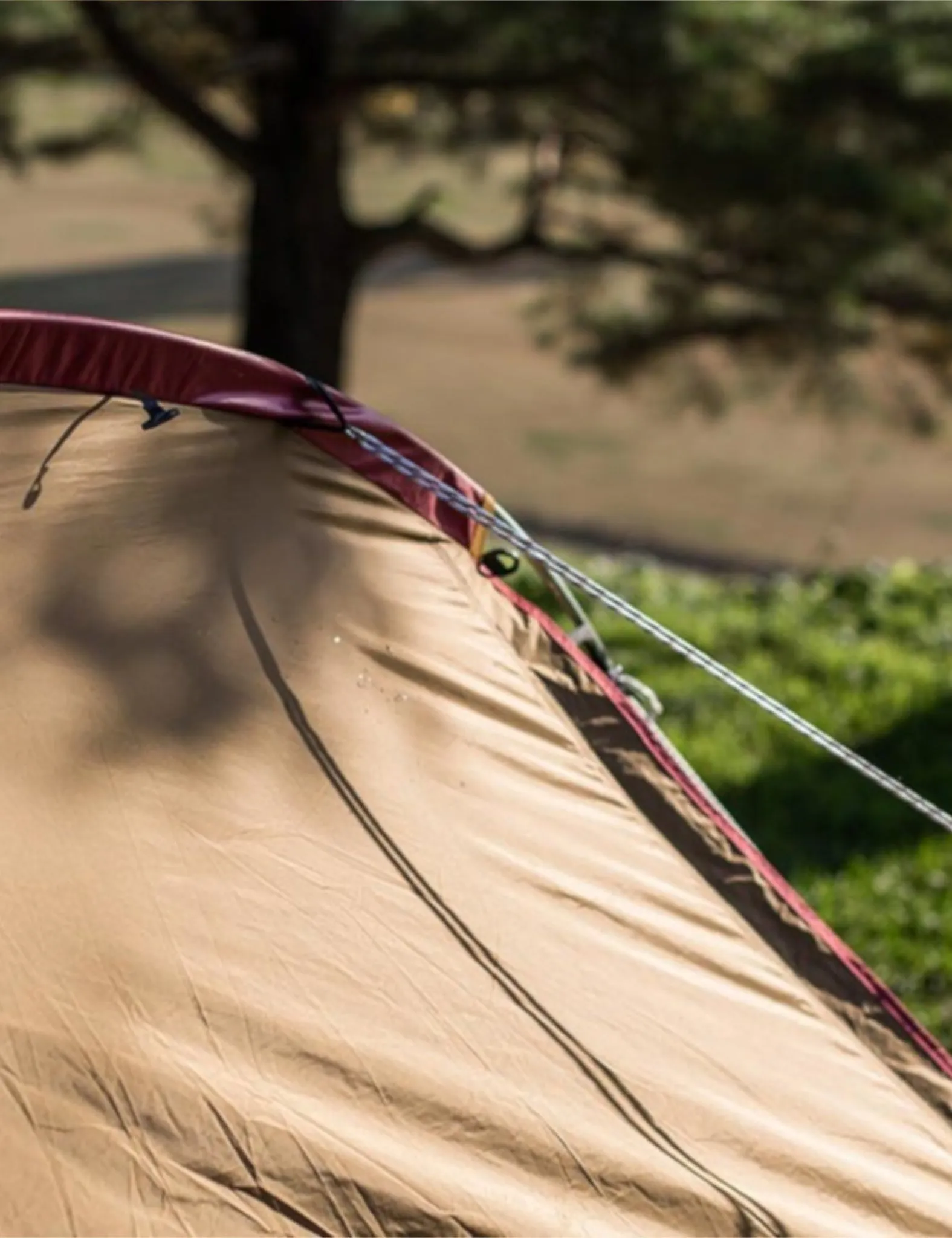 Snow Peak Entry Pack Tent - Brown